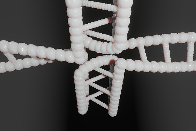 Osoba pracująca przy laptopie w jasnym domowym biurze z roślinami i notatnikiem